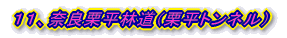 PPAޗǌIѓiIglj